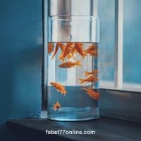 Ảnh đại diện Mai Xuân Trang